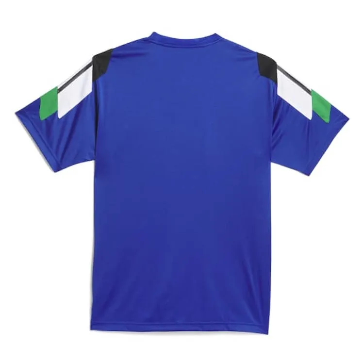 Adidas Skateboarding Brasil Power Of Three Aeroready Jersey T-Shirt Royal Blue
