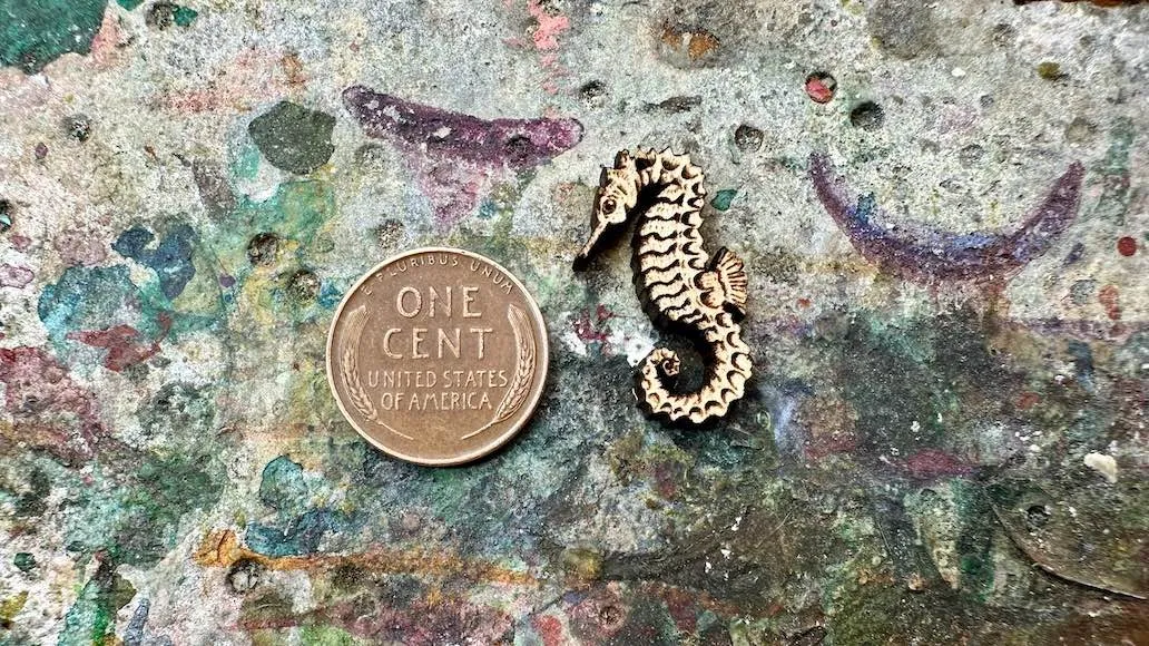 AG Wooden Charm—Seahorse