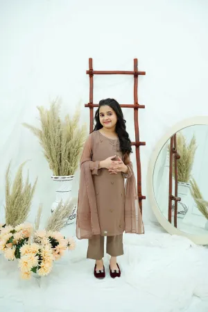 Coffee Embroidered Chiffon