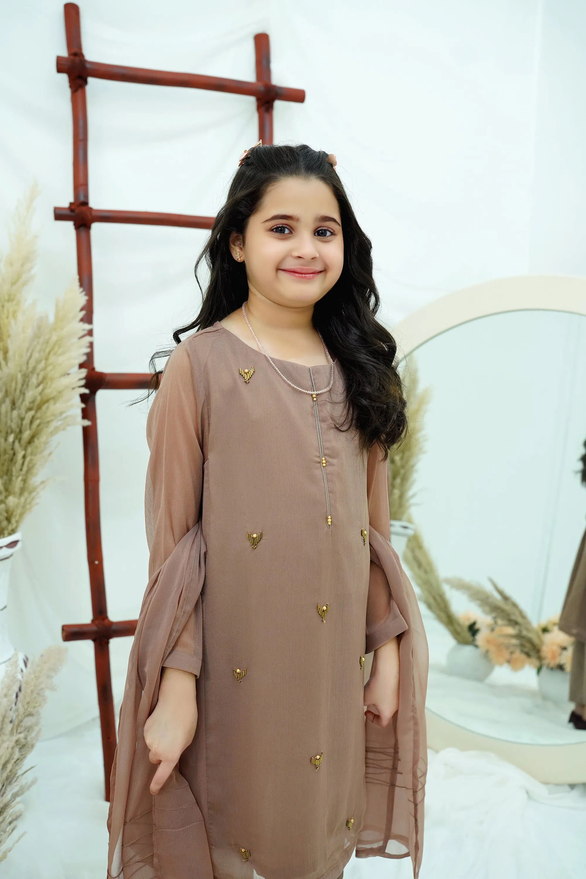 Coffee Embroidered Chiffon
