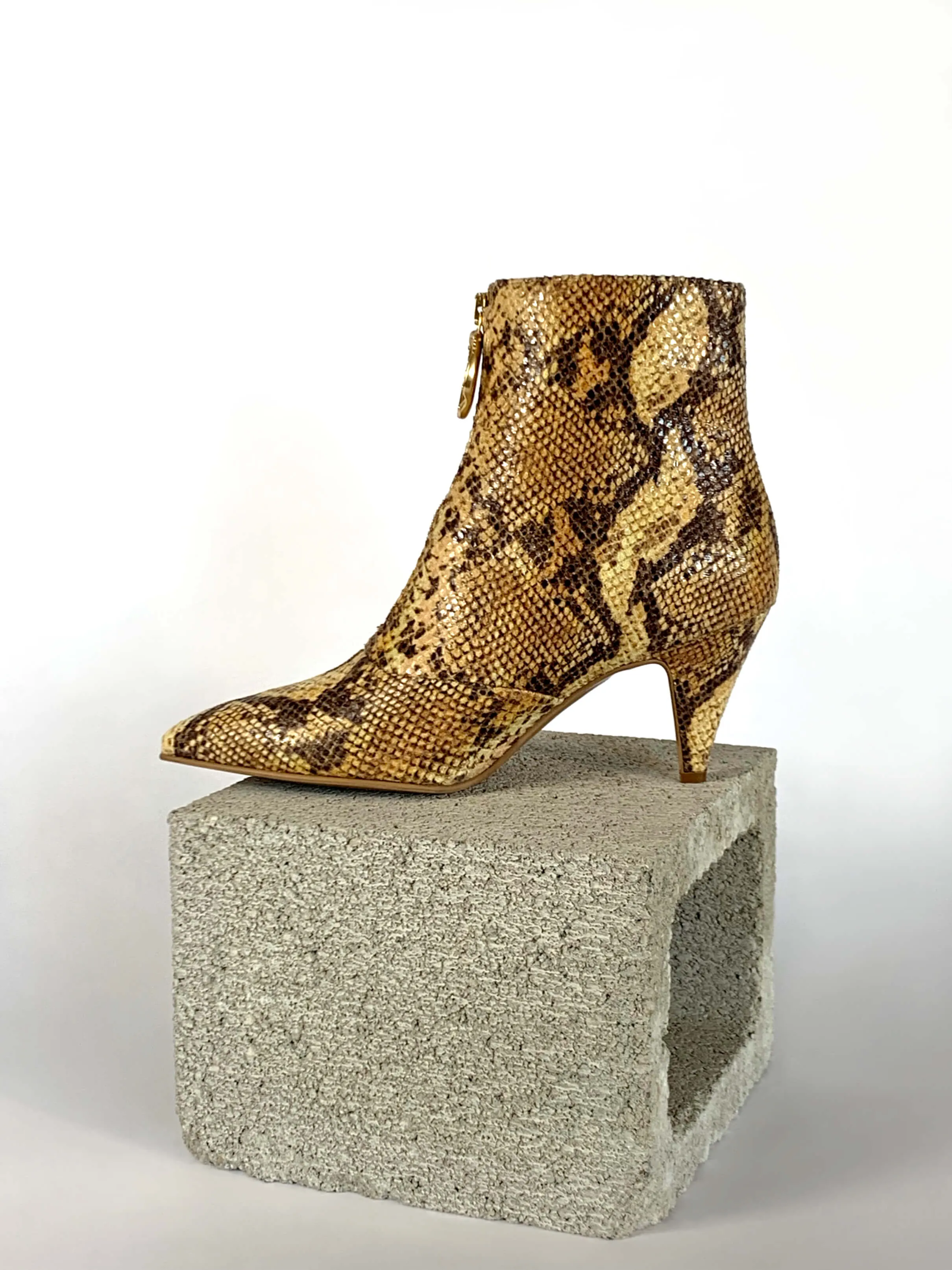 Debbie - Golden Python