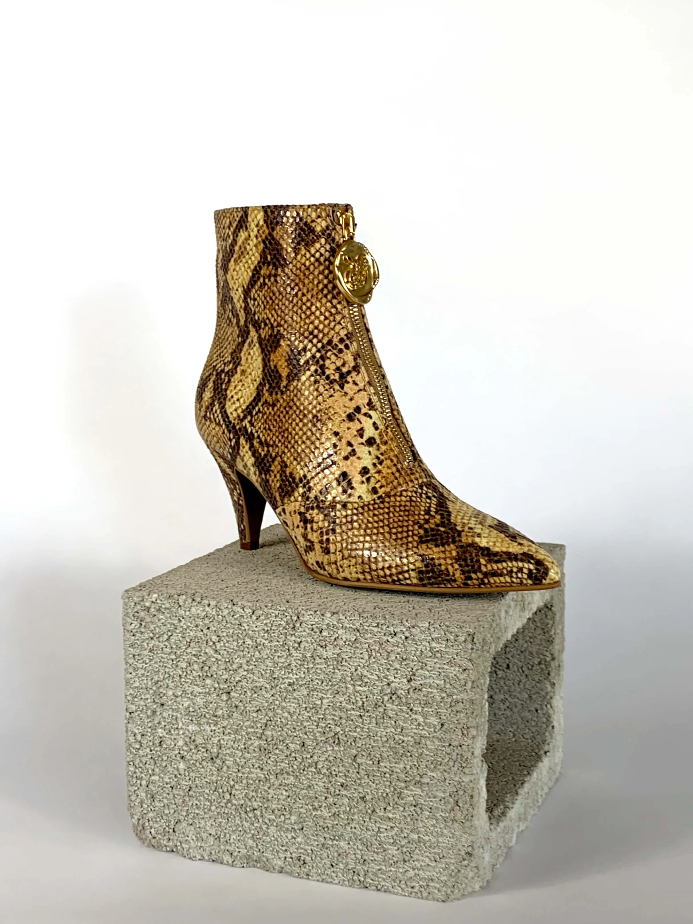 Debbie - Golden Python