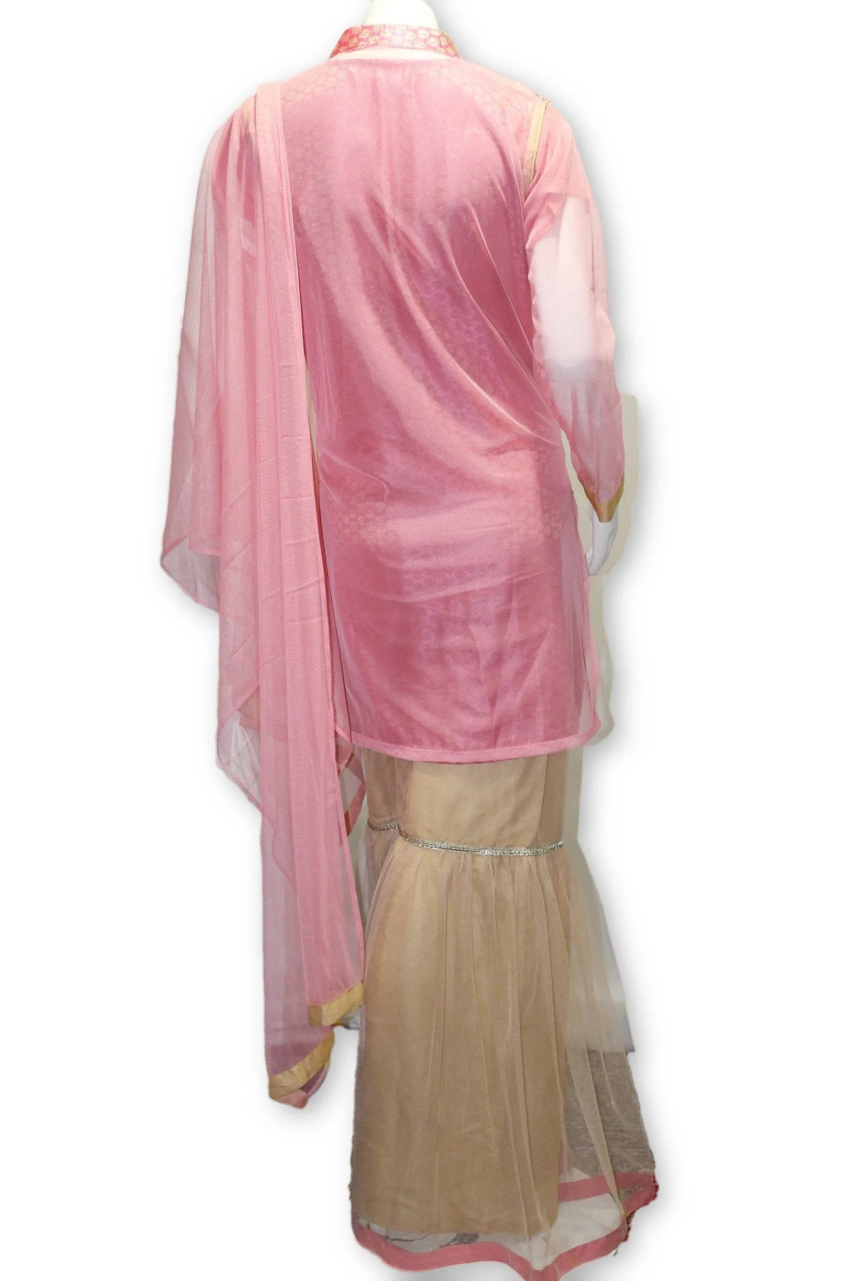 E14 Pakistani Indian 3 Pc Party Wear Net Dress