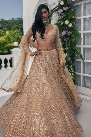 Jaya