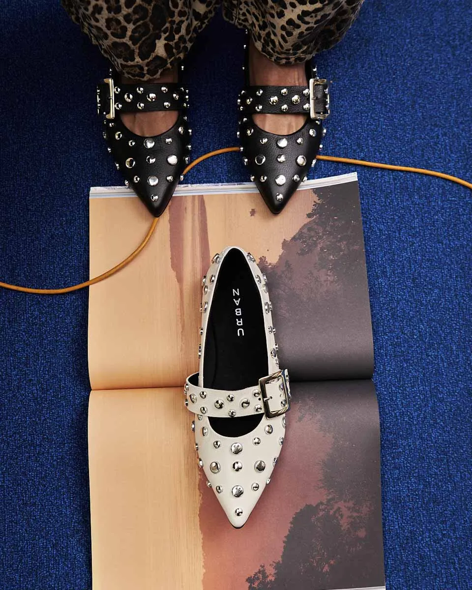 POINTER FLATS BLACK