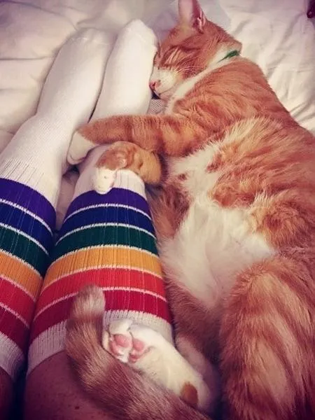 Pride - YOLO 22" Tube Socks