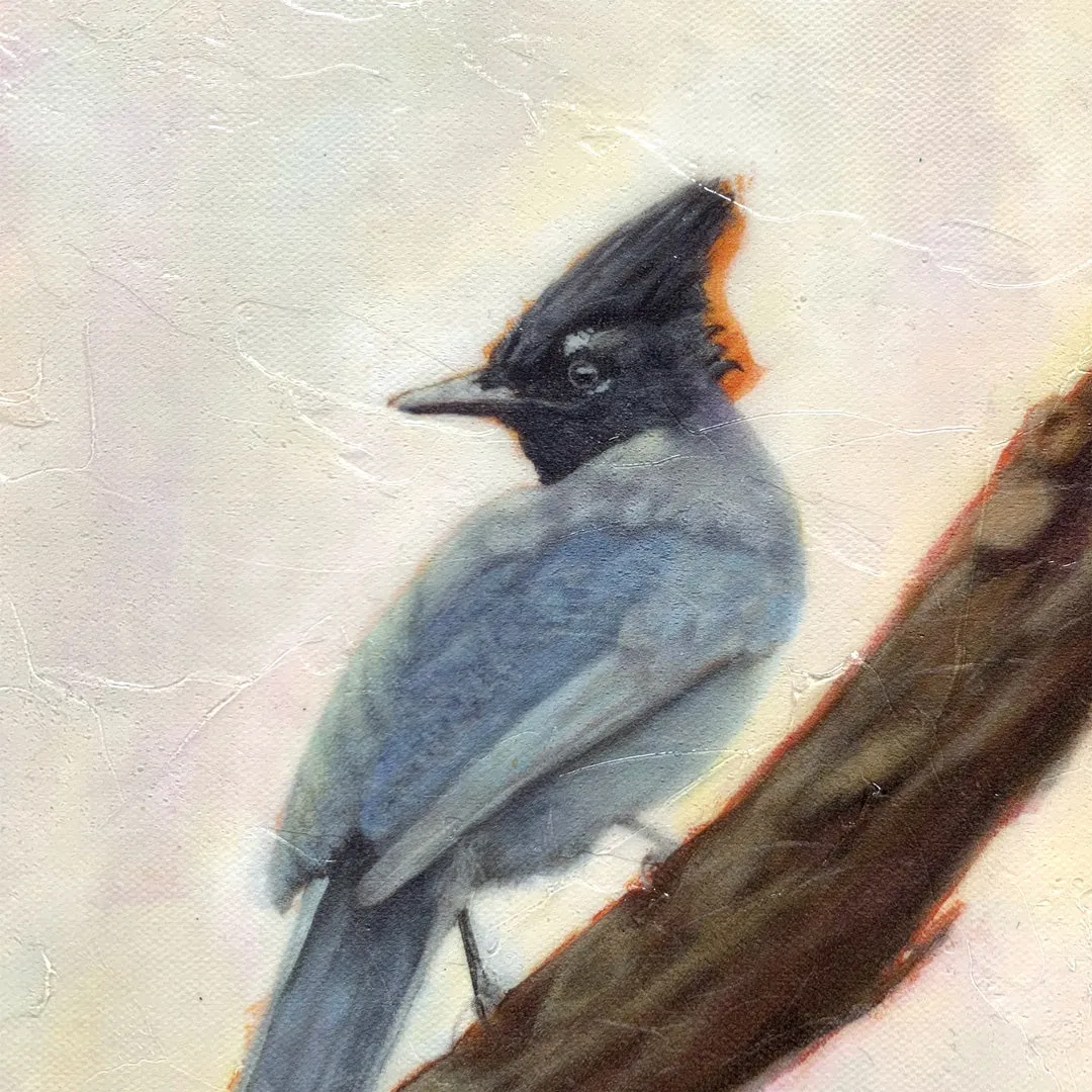 "Harbinger" Bird Embellished Canvas Print