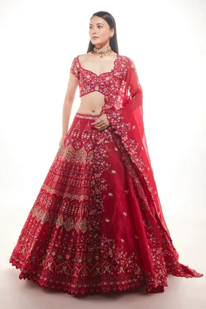 RED ZEBA