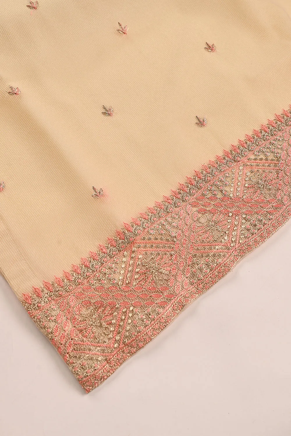 RTW-191-Skin - 3Pc Ready to Wear 3Pc Javeria Net Embroidered  Dress