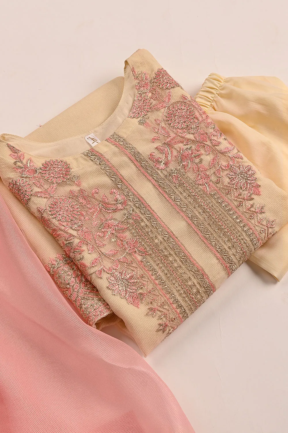 RTW-191-Skin - 3Pc Ready to Wear 3Pc Javeria Net Embroidered  Dress