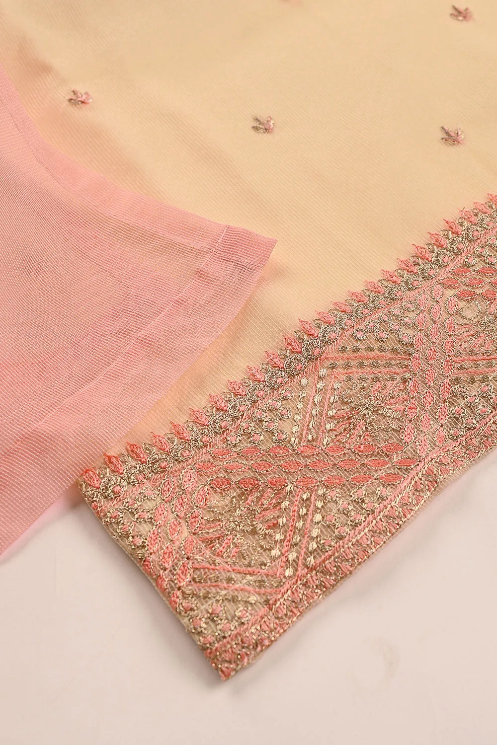 RTW-191-Skin - 3Pc Ready to Wear 3Pc Javeria Net Embroidered  Dress