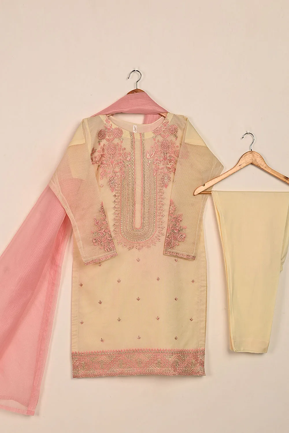 RTW-191-Skin - 3Pc Ready to Wear 3Pc Javeria Net Embroidered  Dress