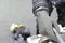 Si Tech Antares Dry Glove System